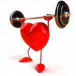 coeur muscler