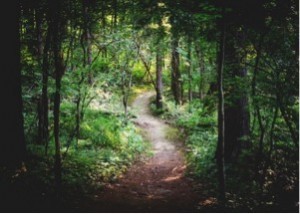 chemin