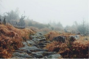chemin technique
