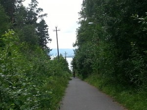 16 - Le fjord d'Oslo au loin