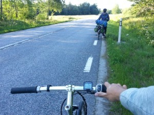 24 - Marche au bord de la route